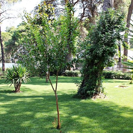 Il Melograno B&B Кастеланета Марина Екстериор снимка